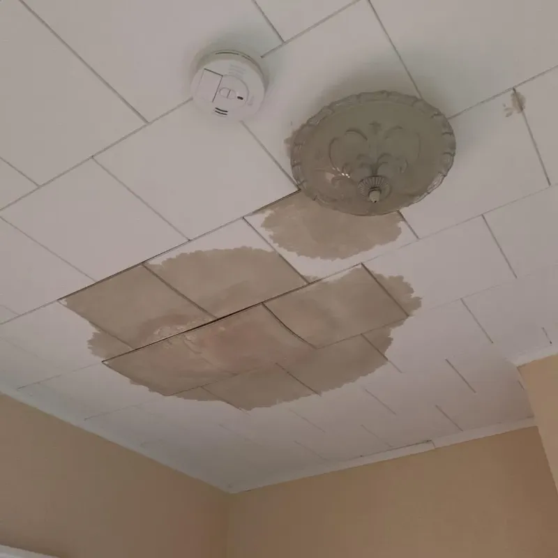 Ceiling Water Damage Repair in Barnes County, ND
