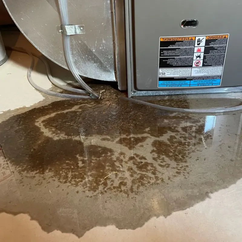Pipe Burst and Leak Restoration in Barnes County, ND