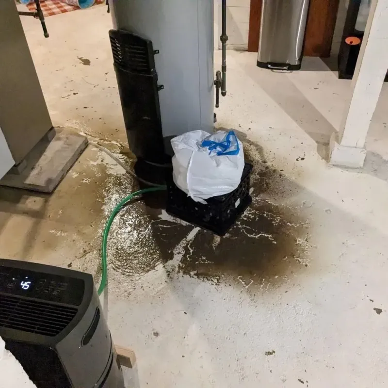 Sewage Backup Cleanup Service in Barnes County, ND